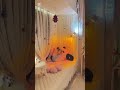 Dreamy Kids Bedroom Makeover | Modern Aesthetic Home Decor 2026