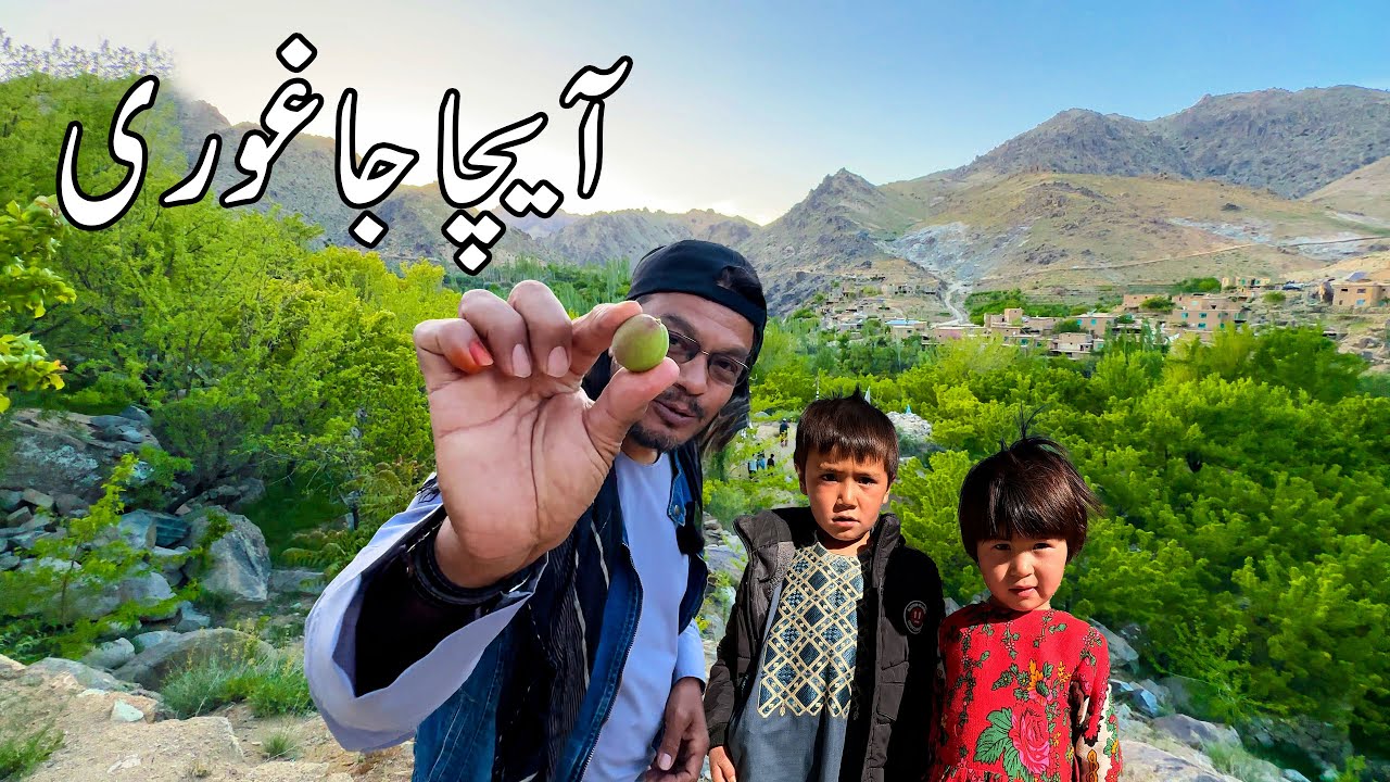 Exploring Aicha, Jaghori, Afghanistan | ویدیوی جدید از آیچا جاغوری