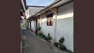 Cewe setia