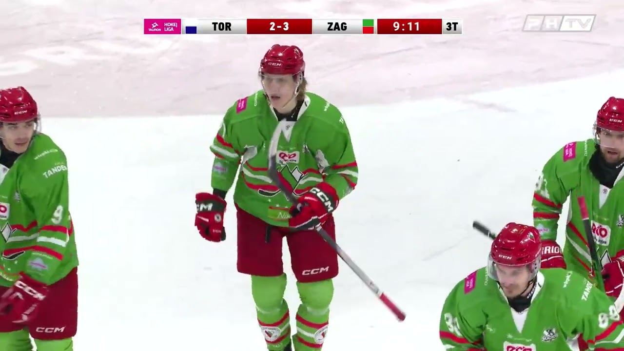 KH Energa Toruń - ECB Zagłębie Sosnowiec / 12.10.2025