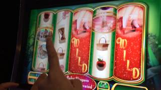 Famous Wizard of Oz Ruby Slippers 2 Slot Machine Bonus - Glinda Bubbles Net Worth