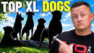 5 Giant Dog Breeds I’d ACTUALLY Own (As a Pro Trainer)!