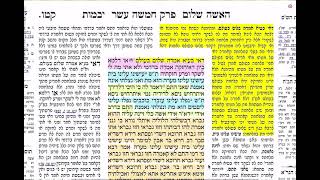 דף יומי מסכת יבמות דף קטו Daf yomi Yevamot daf 115