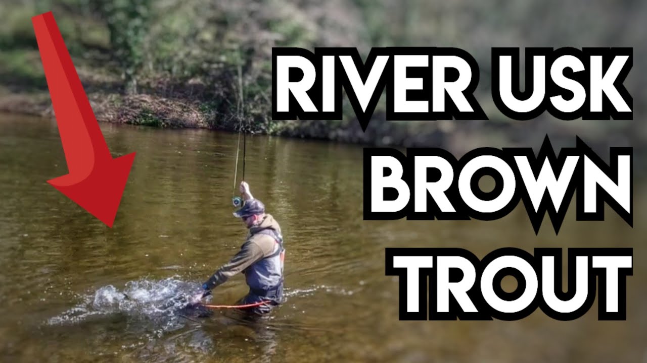 Fly Fishing The River Usk With Spiders, Dry Fly and Euro Nymph