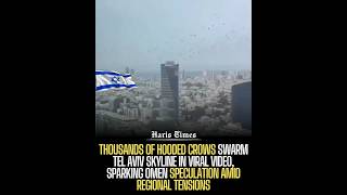 Hooded Crows Swarm Tel Aviv Skyline in Viral Video, Sparking Omen Speculation Amid Tensions