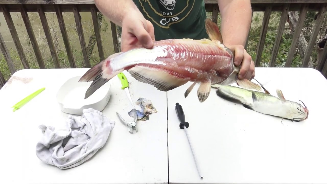 How to Clean Eatin' size Catfish with Catfish Pliers 