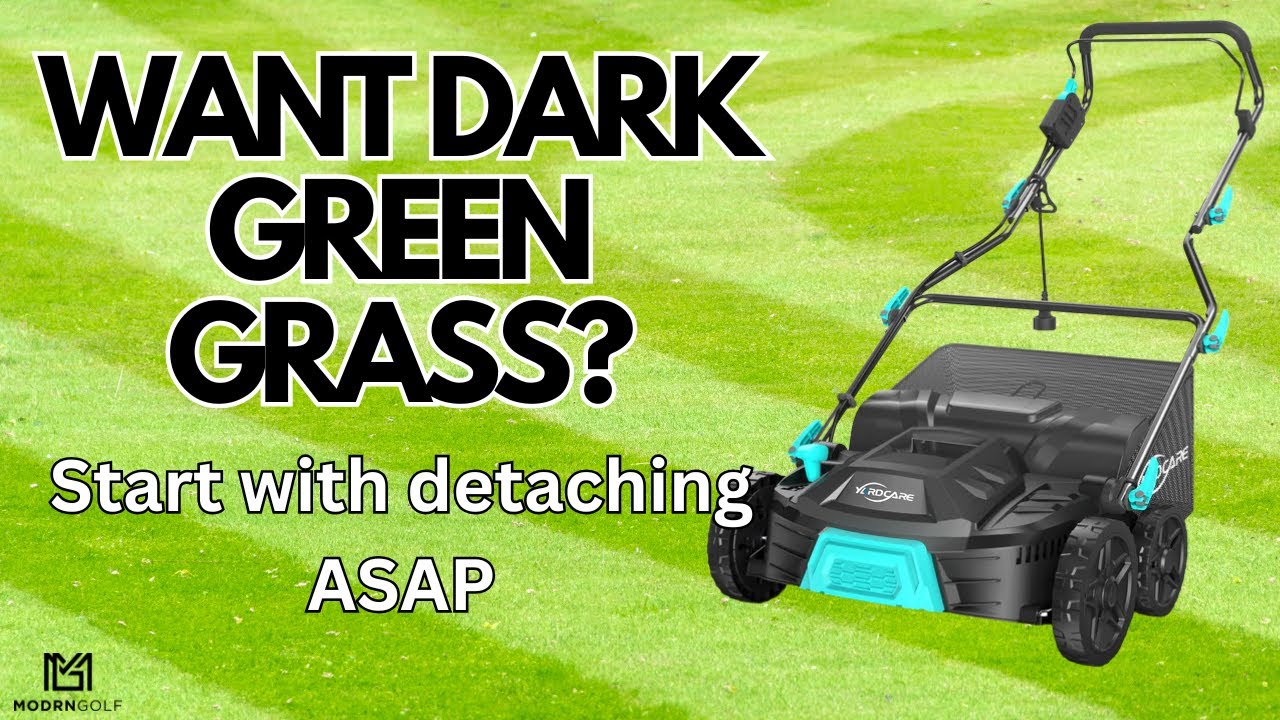 THE BEST DETHATCHER FOR THE MONEY // FALL LAWN CARE TOOLS //