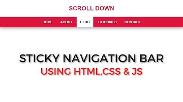 Sticky Navigation Bar Using HTML, CSS & JavaScript