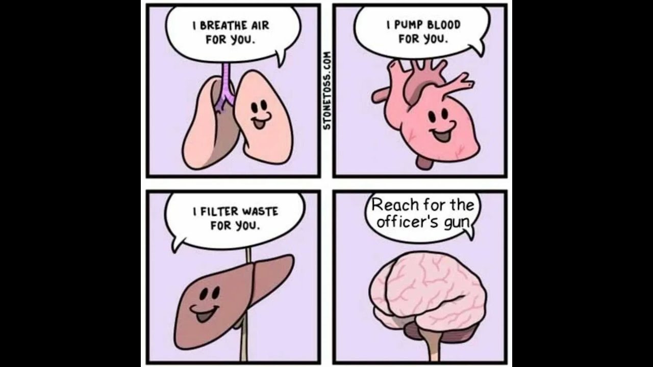 shitpostatus compilation