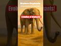 Evolution Of Elephants In 60 Seconds 