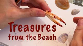 Tiny Treasures from the Beach | Watercolor Sketchbook screenshot 3