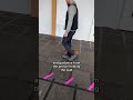 Reactive Leash Pulling Mini Dachshund’s!