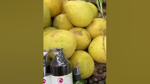 Dầu gội đầu cô đặc tự nhiên Thiên Mộc Trang #thienmoctrang #daugoicodac #dầu_gội_cô_đặc