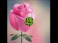 Lalit dabng pandit Whatsapp Status Video Download Free