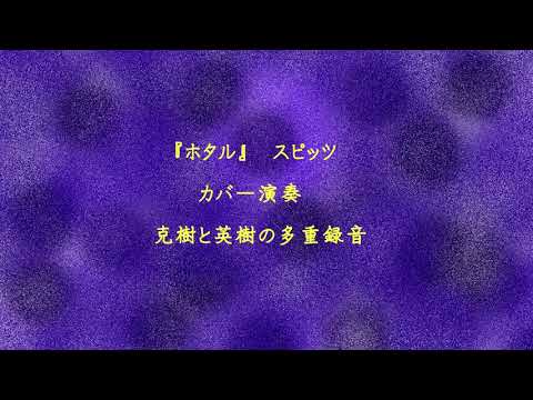 『ホタル』スピッツ　のカバー演奏　克樹＆英樹