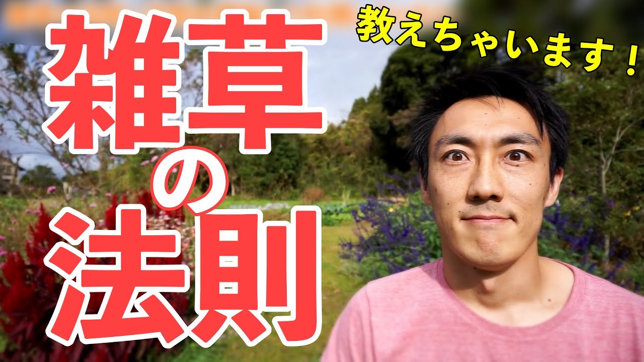 【自然農】生える雑草には法則があった！自然の法則を畑づくりに生かす！