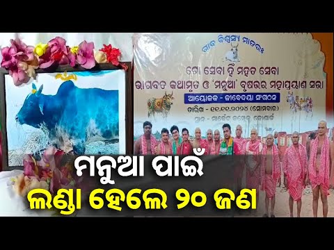 ଷଣ୍ଢ ପାଇଁ ମଣିଷର ନିଆରା ପ୍ରେମ, ମୃତ୍ୟୁ ପରେ ପାଳିଲେ କ୍ରୀୟାକର୍ମ || Knews Odisha