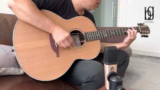 Lowden F-38 Cedar . Brazilian Rosewood Strumming