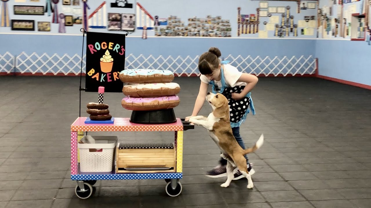 roger-s-bakery-2023-akc-trick-dog-national-competition-juniors