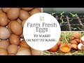 Farm Fresh Eggs: To WASH? or not to WASH...