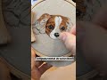 Вышиваем портрет собаки - как сделать шерстку и блики. Вышивка гладью