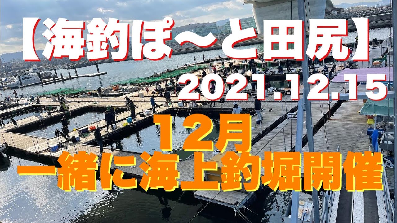 156 海釣ぽ と田尻 12月一緒に海上釣堀開催 Youtube