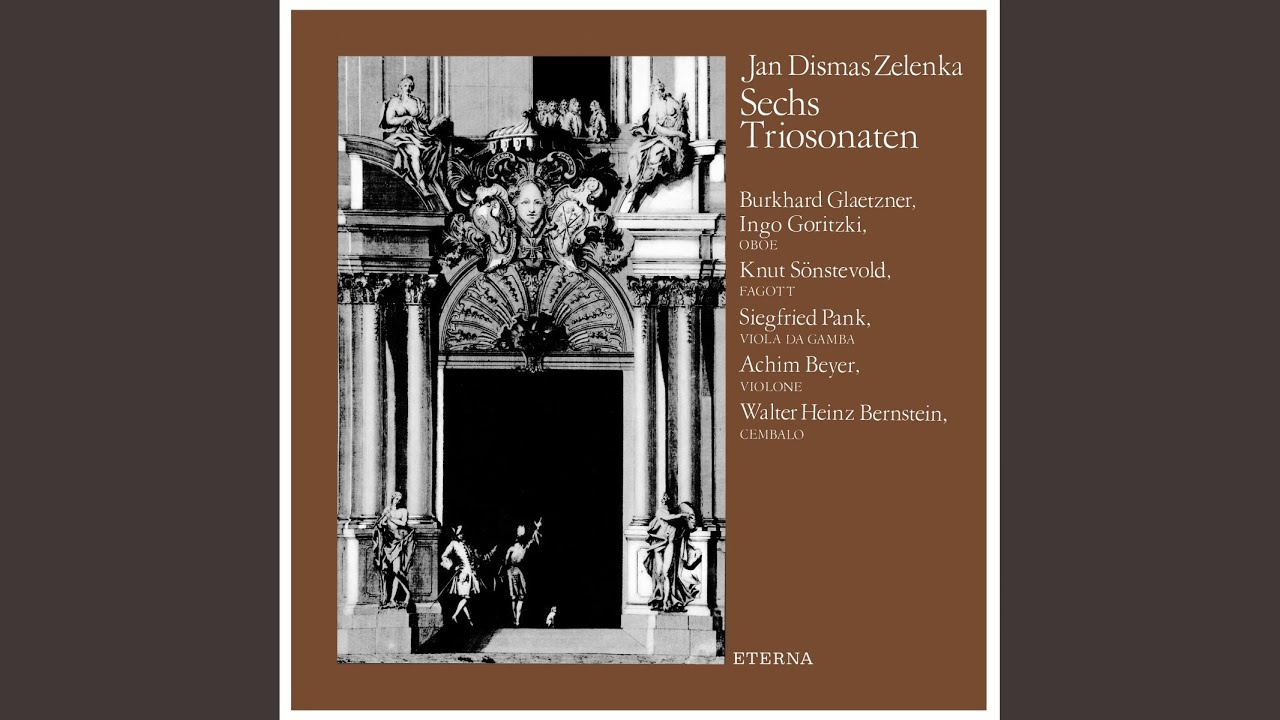 Trio Sonata No. 4 in G Minor, ZWV 181: IV. Allegro ma non troppo