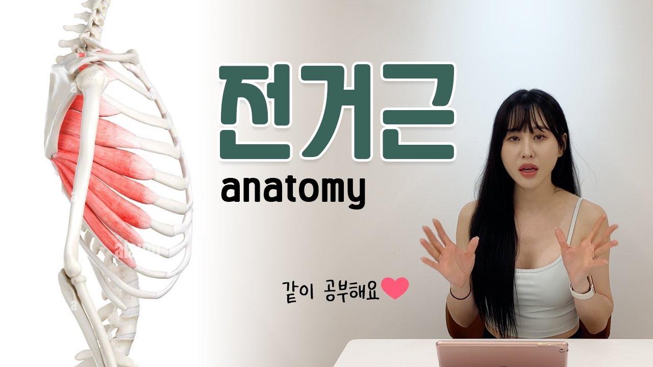 [Anatomy] 아티다와 함께하는 전거근(Serratus anterior) 공부🗣
