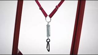 We Set The Standard Again Firepaw Dragon Gen Iv