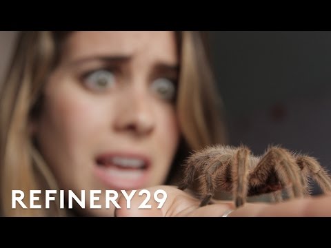 5 Days Of Facing My Worst Fears . . . Bug Eating Challenge | Try Living With Lucie | Refinery29