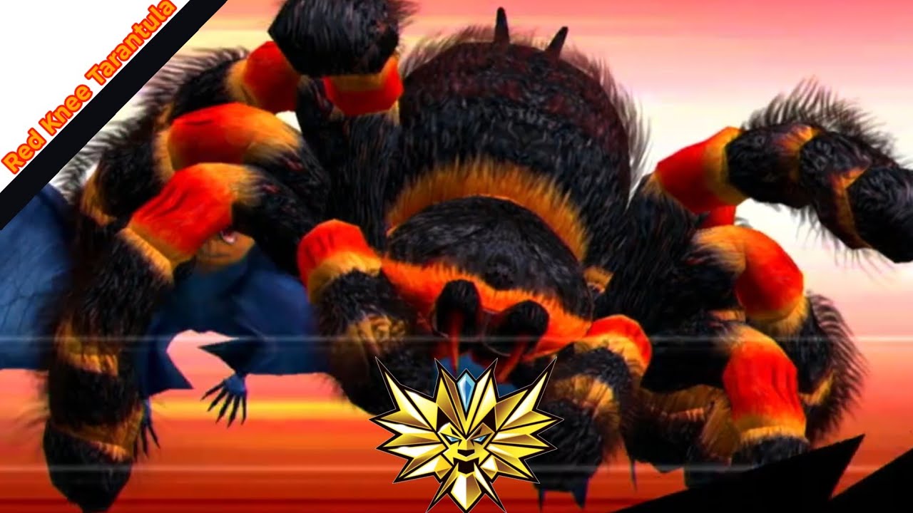 Red Knee Tarantula gameplay. Strong animal kaiser max4 | 百獣大戦
