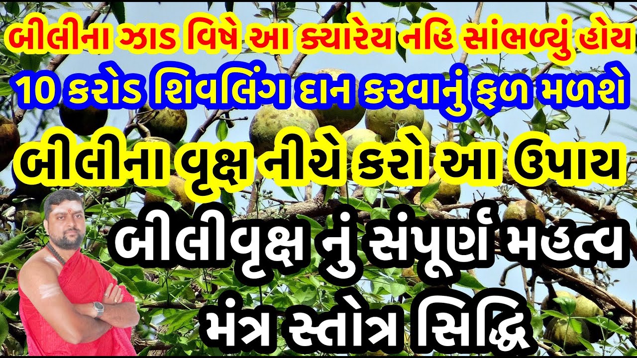 બીલી ના વૃક્ષ નું સંપૂર્ણ માહાત્મ્ય | બીલીના ઝાડ નીચે આ કરવાથી શું થાય છે ? આચાર્ય આનંદ પાઠક |