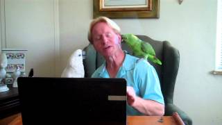 cocktail video