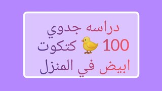 100 كتكوت الابيض( دراسه جدوي) بالاسعار الجديده ??⭕