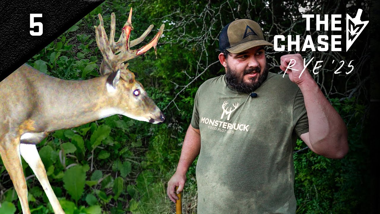 8-20-25: Trail Cam And Hunting Strategies On The New Farms, Rye's Food Plot Success