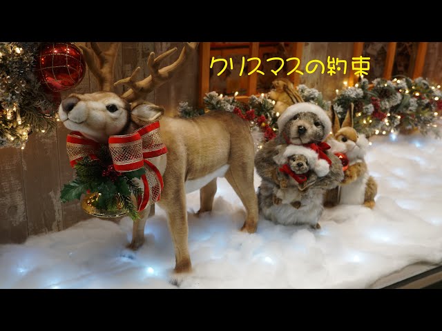 クリスマスの約束・・・ゆずおだ - YouTube