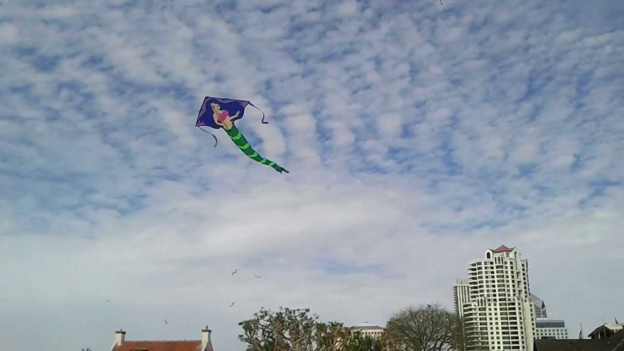Flying Kite in San Diego, CA YouTube