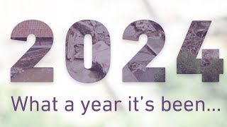 LGIU's Review of 2024