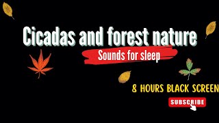 Sounds of Insects At Night , Crickets, Cicadas Sounds In The Forest 8 Hours For Sleep