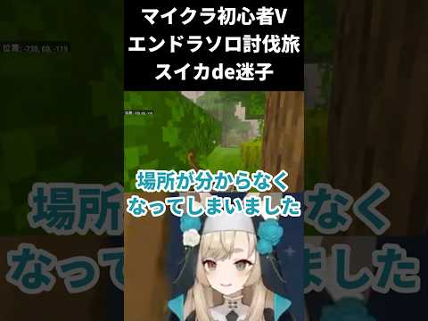 【マインクラフト / エンドラソロ討伐】スイカに魅入られたシスター【一ノ瀬エルマ / VTuber】 #shorts #vtuber #マイクラ