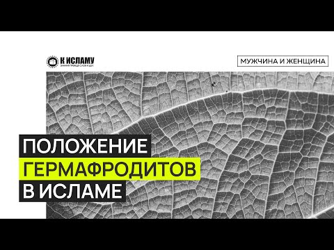 Положение гермафродитов в Исламе