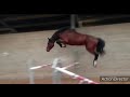 Looping ds untouchable 27 x balou du rouet