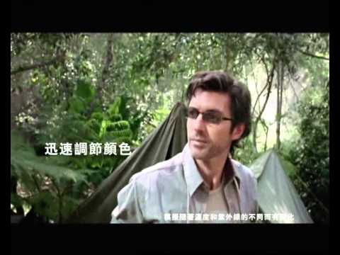 全視線廣告