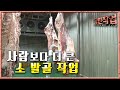 극한직업 - Extreme JOB_육류 가공 공장_#001