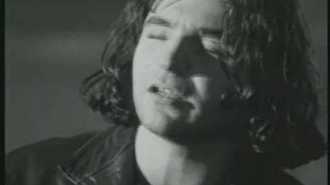 Daniel Weaver "If you see me"