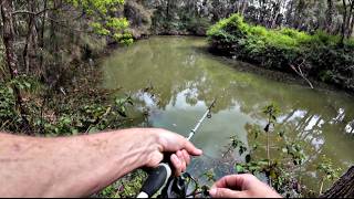 This LURE is a MAGNET for AUSTRALIAN BASS