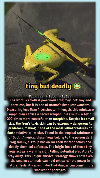 The world’s tiniest poisonous frog is under 1 cm long.😱🔥 #usa #wildlife