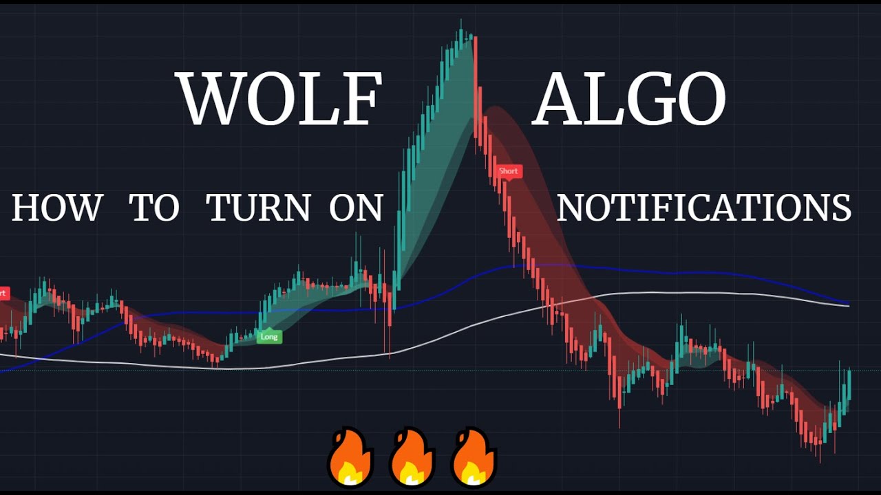 HOW TO TURN ON NOTIFICATIONS ON WOLF ALGO YouTube HOW TO TURN ON NOTIFICATIONS ON WOLF ALGO YouTube