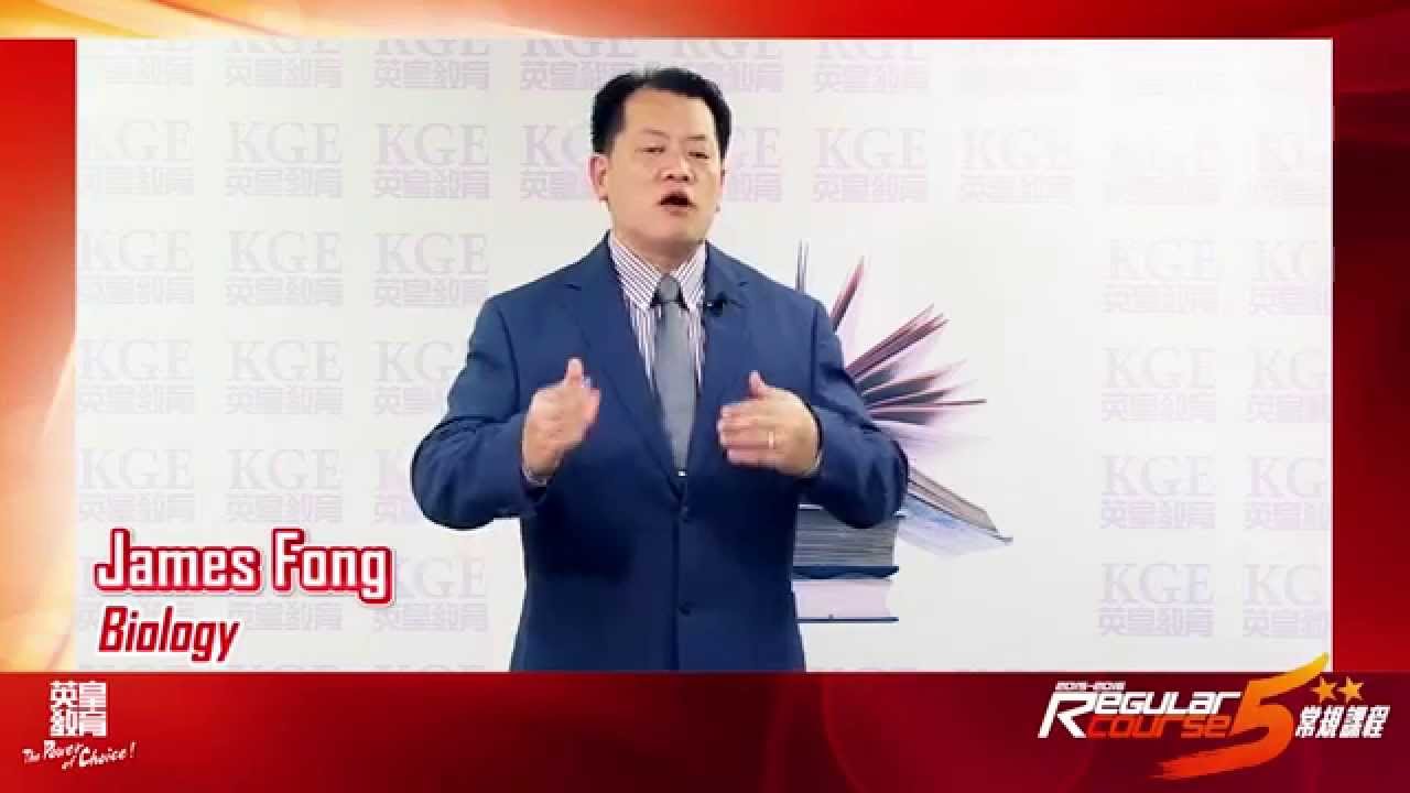 英皇教育名師james Fong 15 16 常規課程 Youtube