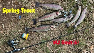 Quick spring trout Limit 6 !!  | this bait got it ✅ | New Jersey 🇺🇸 trout fishing at Lake